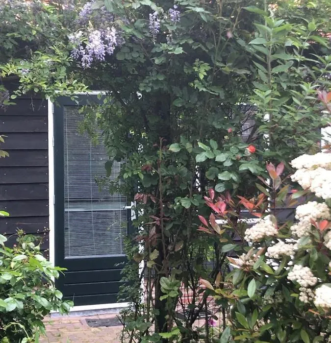 B&B Bloom-1