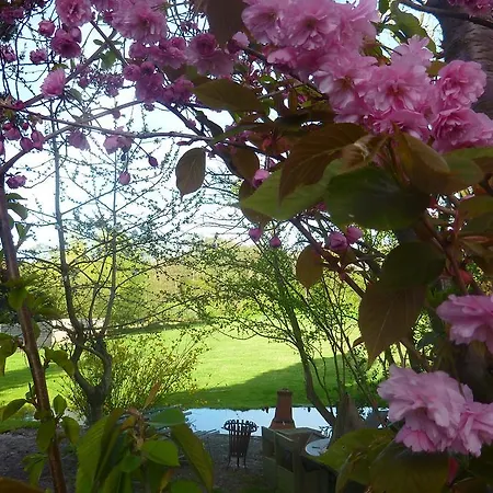 B&B Bloom-3
